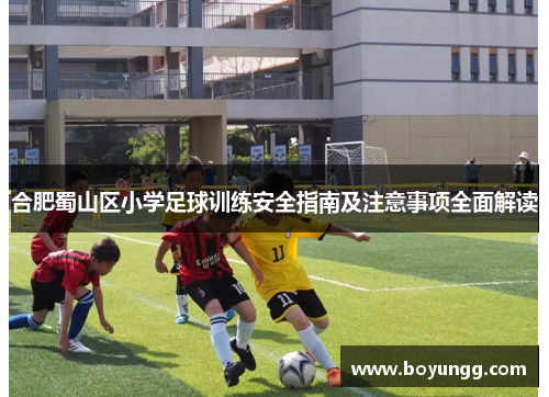 合肥蜀山区小学足球训练安全指南及注意事项全面解读