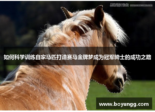 如何科学训练自家马匹打造赛马金牌梦成为冠军骑士的成功之路 如何科学训练自家马匹打造赛马金牌梦成为冠军骑士的成功之路