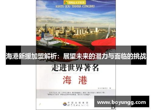 海港新援加盟解析：展望未来的潜力与面临的挑战