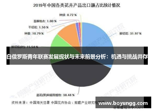 白俄罗斯青年联赛发展现状与未来前景分析：机遇与挑战并存