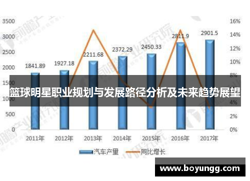 篮球明星职业规划与发展路径分析及未来趋势展望
