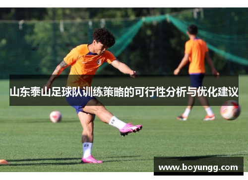 山东泰山足球队训练策略的可行性分析与优化建议